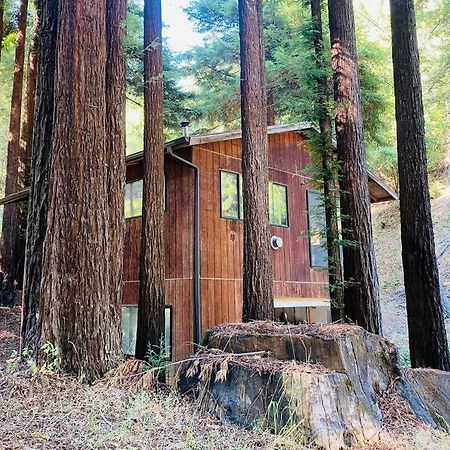 加伯维尔Little House In The Redwoods With A Hot Tub!公寓 外观 照片