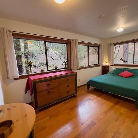 加伯维尔Little House In The Redwoods With A Hot Tub!公寓 外观 照片