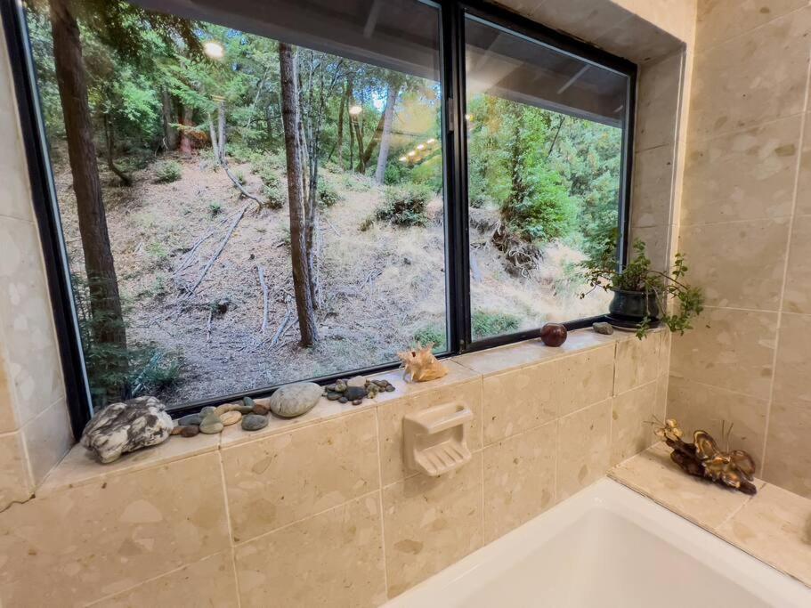 加伯维尔Little House In The Redwoods With A Hot Tub!公寓 外观 照片