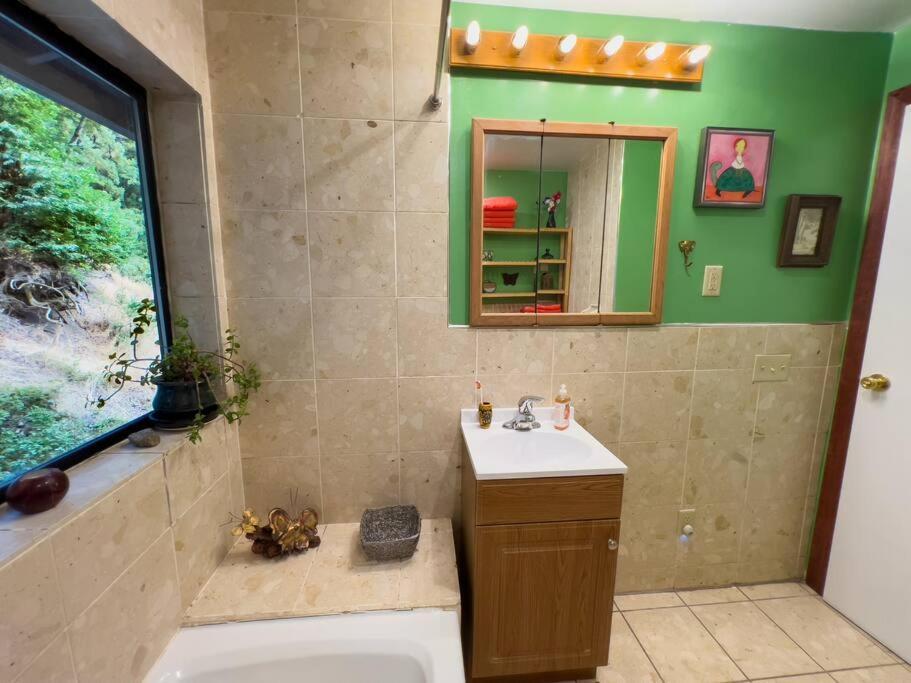 加伯维尔Little House In The Redwoods With A Hot Tub!公寓 外观 照片