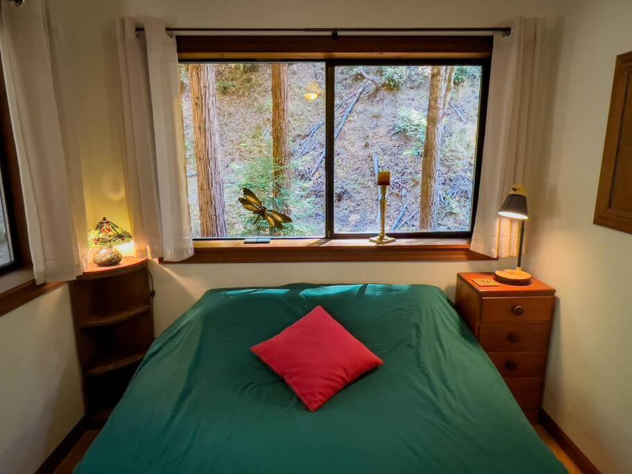 加伯维尔Little House In The Redwoods With A Hot Tub!公寓 外观 照片