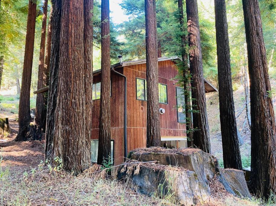 加伯维尔Little House In The Redwoods With A Hot Tub!公寓 外观 照片