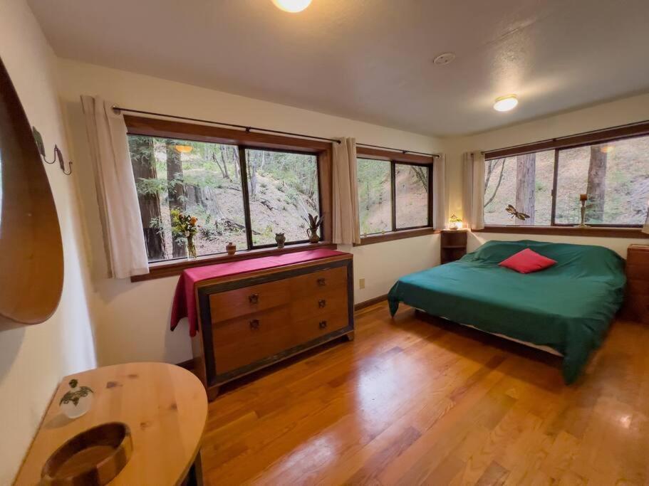 加伯维尔Little House In The Redwoods With A Hot Tub!公寓 外观 照片