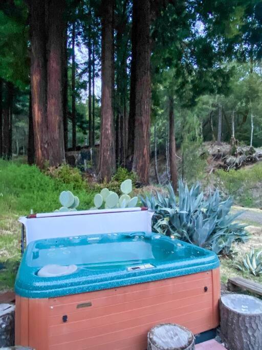 加伯维尔Little House In The Redwoods With A Hot Tub!公寓 外观 照片