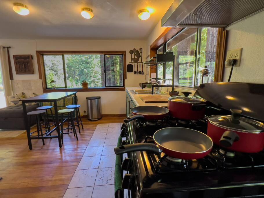 加伯维尔Little House In The Redwoods With A Hot Tub!公寓 外观 照片