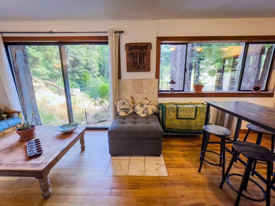 加伯维尔Little House In The Redwoods With A Hot Tub!公寓 外观 照片