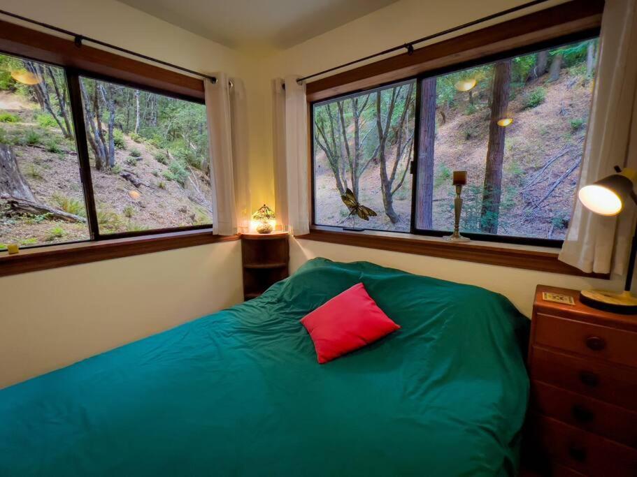 加伯维尔Little House In The Redwoods With A Hot Tub!公寓 外观 照片